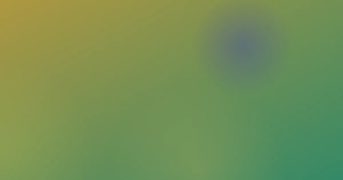 瑞希怎么用？我的上手体验